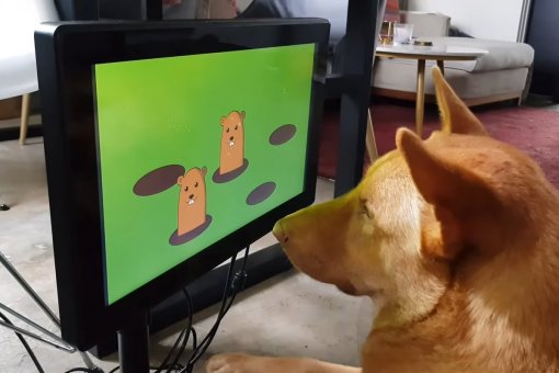 В Британии представили игровую консоль для собак