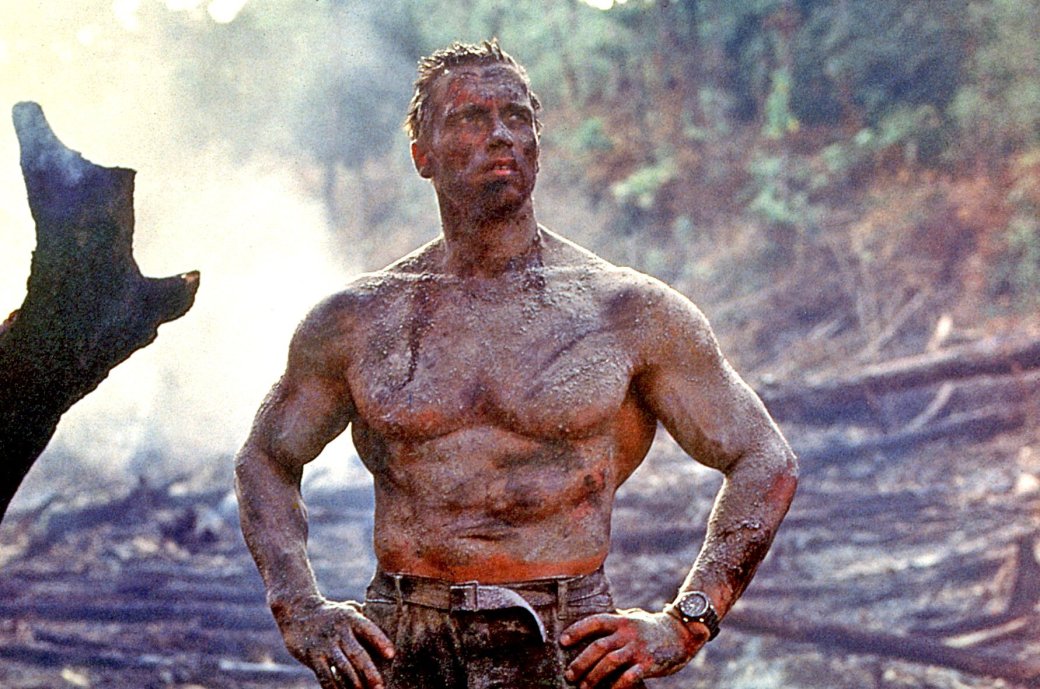 В ремейке «Хищника» может сняться Арнольд Шварценеггер — фото 1