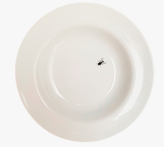 Галерея Хаски продает тарелки с мухой и разделочные доски. Это мерч рэпера - 8 фото