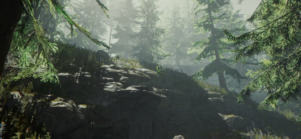The Forest — записки из мертвого леса — фото 2
