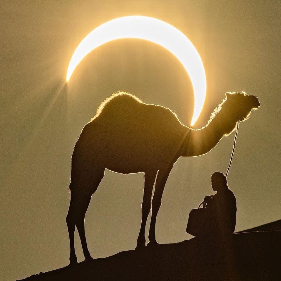 15 удивительных фотографий последнего солнечного затмения в 2019 году — фото 2