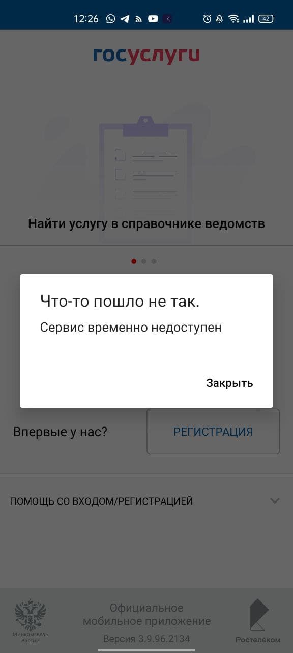 У мобильного приложения «Госуслуг» произошёл сбой — фото 1