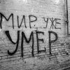 Киц Тимка502 Киц Тимка502