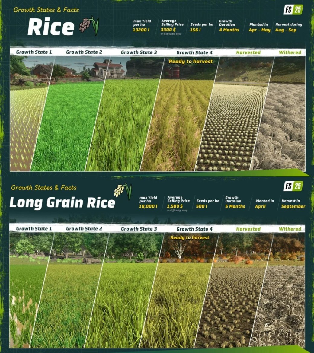 В Farming Simulator 25 появится рис и новая карта в Азии — фото 1