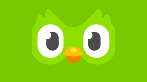 Сервис Duolingo объявил о «смерти» маскота совы Дуо и возможно задумал ребрендинг