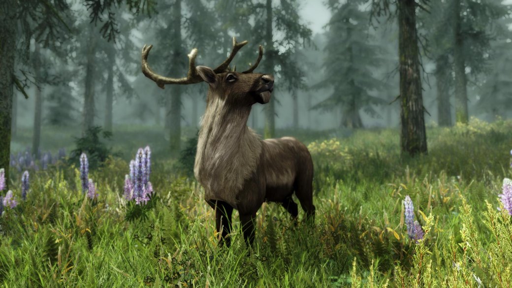 Гифка дня: попадание прямо в яблочко в The Elder Scrolls 5: Skyrim — фото 1