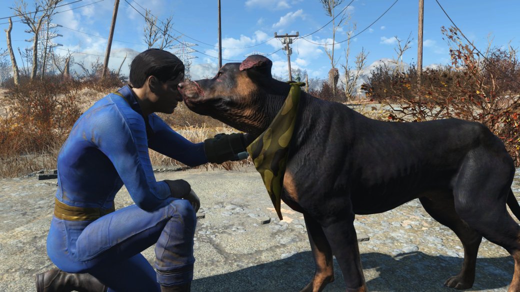 Галерея Энтузиаст сделал мод для Fallout 4, который позволяет погладить любую собаку в игре - 4 фото