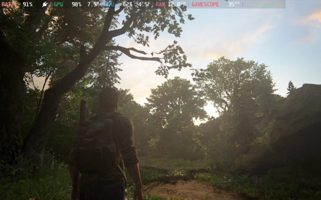 Галерея The Last of Us стала «полностью играбельной» на Steam Deck после 11 патчей - 2 фото
