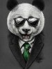 Антон Костин Антон Костин