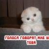 Арсений Иголкин Арсений Иголкин