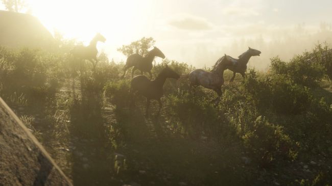 В Red Dead Redemption 2 игрок может сократить популяцию животных — и много других подробностей — фото 4