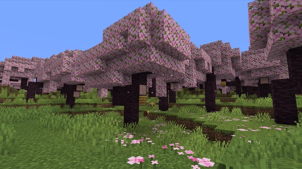 Галерея В Minecraft появится новый саженец для выращивания сакуры - 5 фото