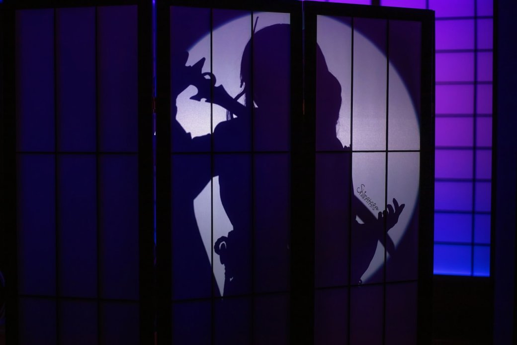 Галерея Модель появилась в эффектном образе Сёгун Райден из Genshin Impact - 8 фото