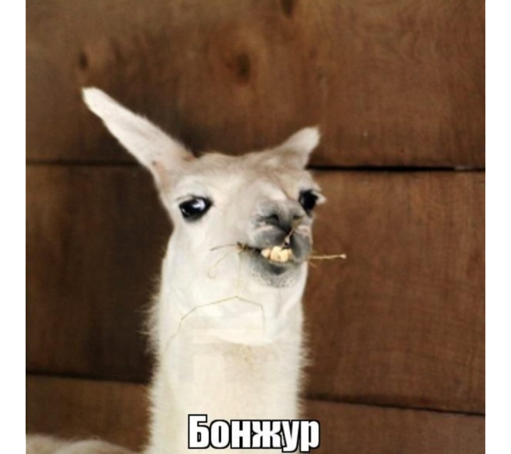 Поздоровайтесь