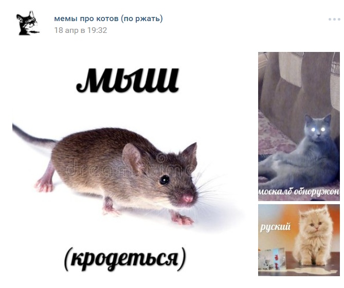 Лучшие мемы 2018: Doka 2, Илон Маск, Чемпионат мира и мыш, которая (кродеться) — изображение 2