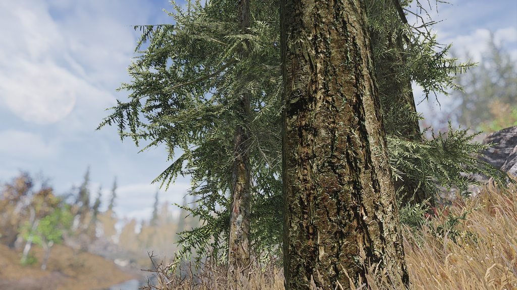 Моддер с помощью реальных фотографий воссоздал в Skyrim финский лес — фото 1