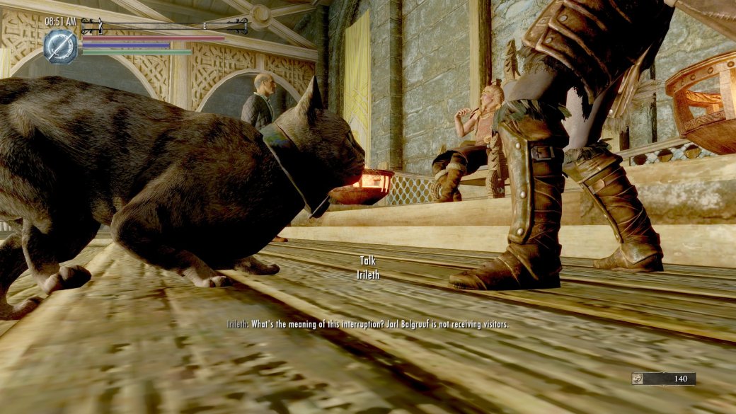 Галерея Теперь в Skyrim можно сыграть за грозу всех драконов — домашнего кота - 4 фото