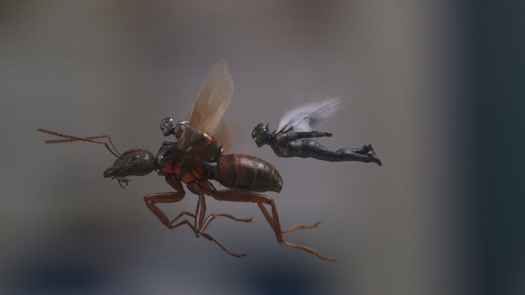 Галерея «Человек-муравей и Оса» — легкий отдых для киновселенной Marvel. Мнение с пресс-показа - 2 фото