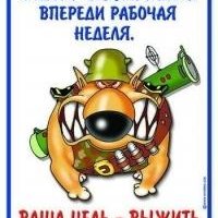 savchikk