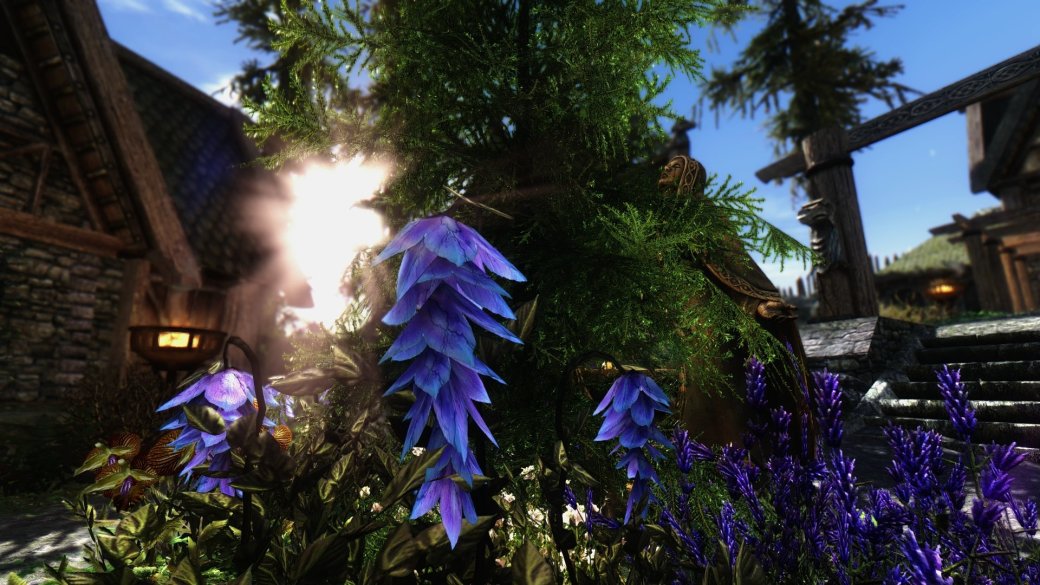 Одиннадцать лучших модов для Skyrim — изображение 4