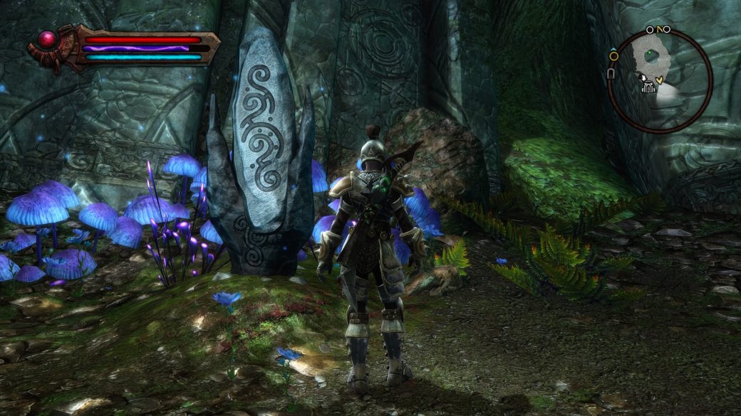 Галерея По полкам: Обзор Kingdoms of Amalur: Re-Reckoning — ремастера RPG от дизайнера Morrowind и Oblivion - 4 фото