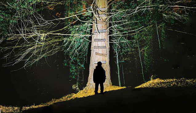 Книга «Воображаемый друг» – самый ожидаемый хоррор осени от автора «Хорошо быть тихоней» — фото 2