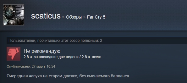 «Заслуживает своих денег»: отзывы пользователей Steam о Far Cry 5 — фото 4
