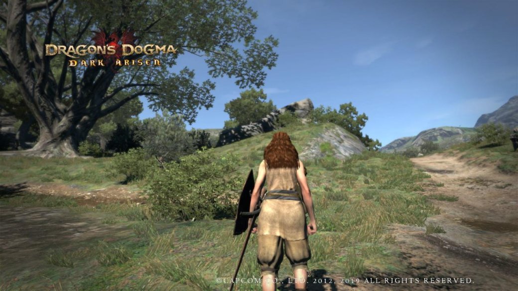 Как Dragonʼs Dogma: Dark Arisen выглядит и работает на Nintendo Switch — изображение 9