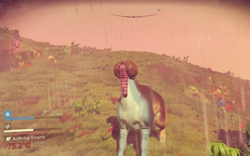 Почему в No Man's Sky все похоже на члены? — фото 3