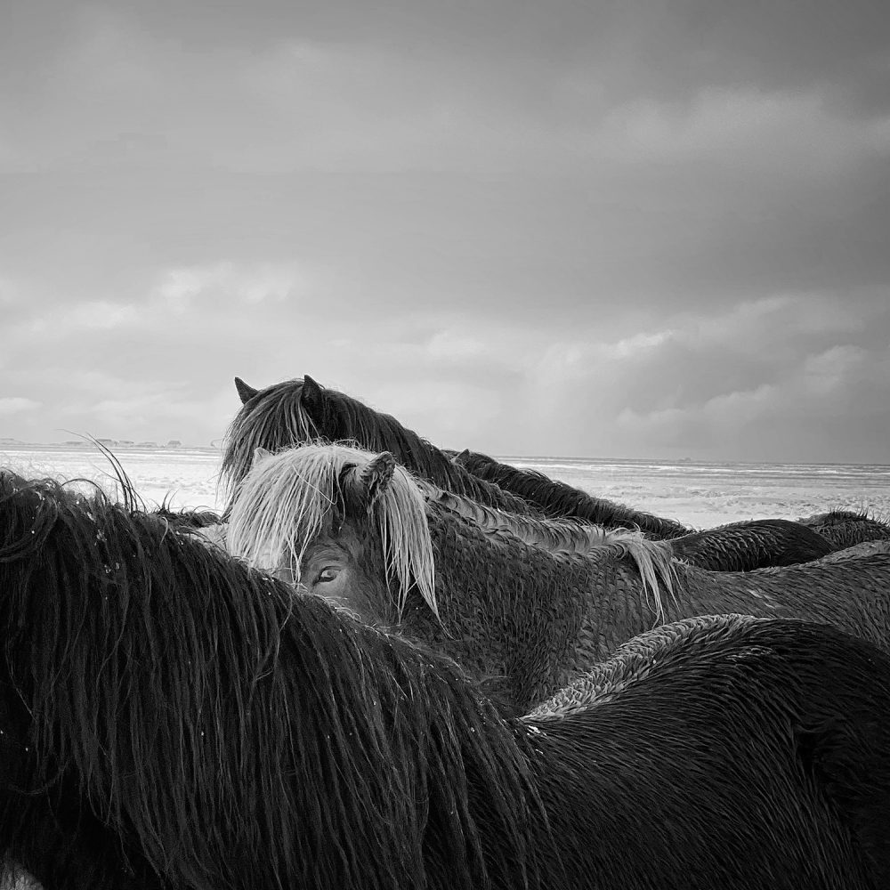 20 лучших снимков фотоконкурса iPhone Photography Awards — фото 7