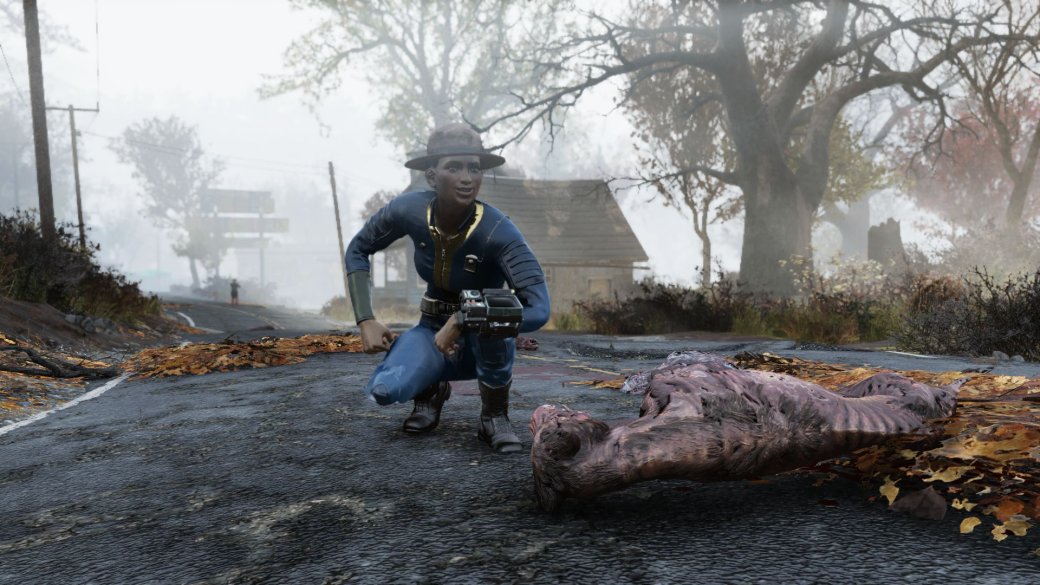 Новый патч для Fallout 76 исправил проблему слишком тяжелых заколок (да, она реально существовала) — фото 1