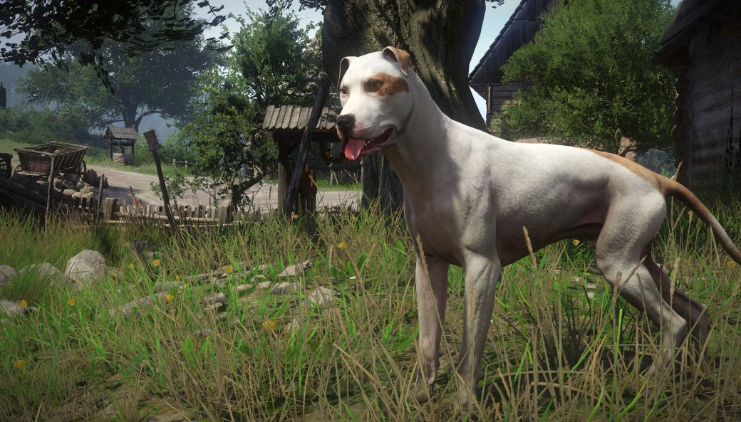 Впечатления от всех дополнений для Kingdom Come: Deliverance — все еще главная RPG последних лет — фото 3