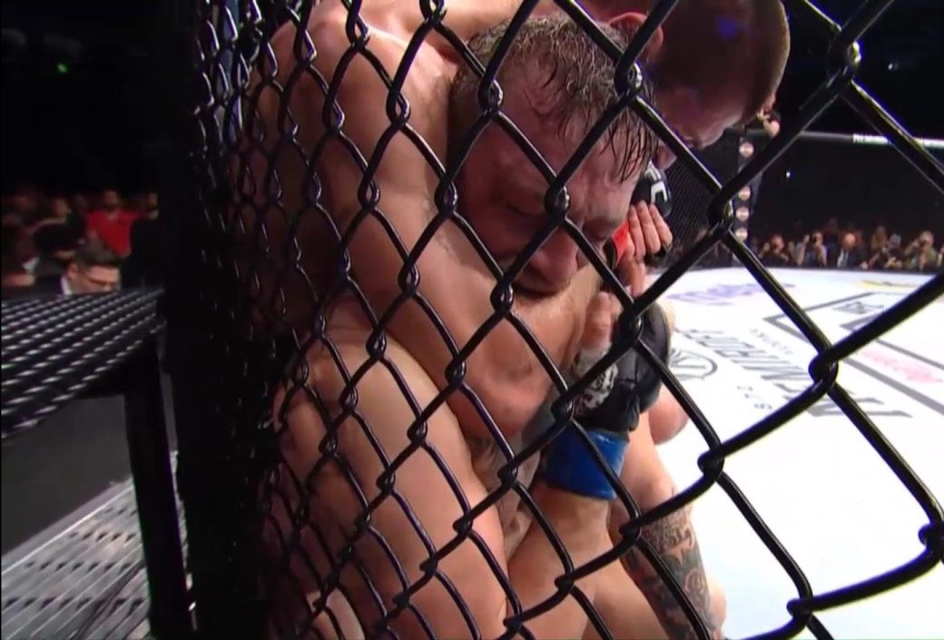 Бой века? Хабиб Нурмагомедов отстоял титул чемпиона UFC, победив Конора Макгрегора — фото 2