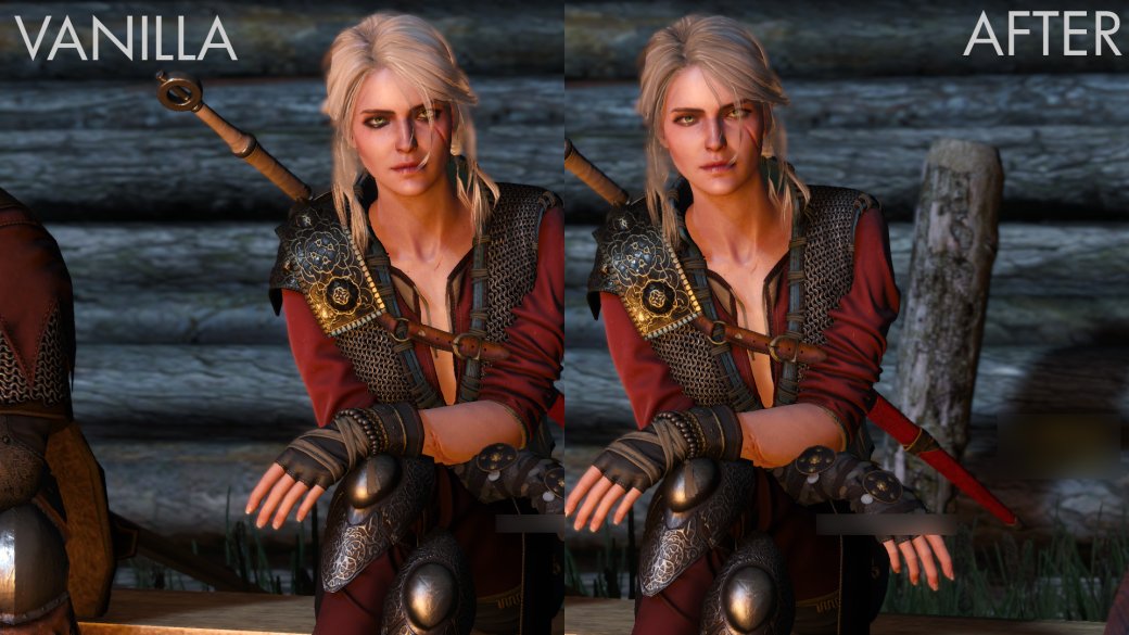 5 модов для The Witcher 3: Wild Hunt, приближающих игру к книжному канону — фото 5