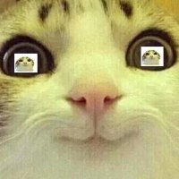 Тигран Саргсян 7