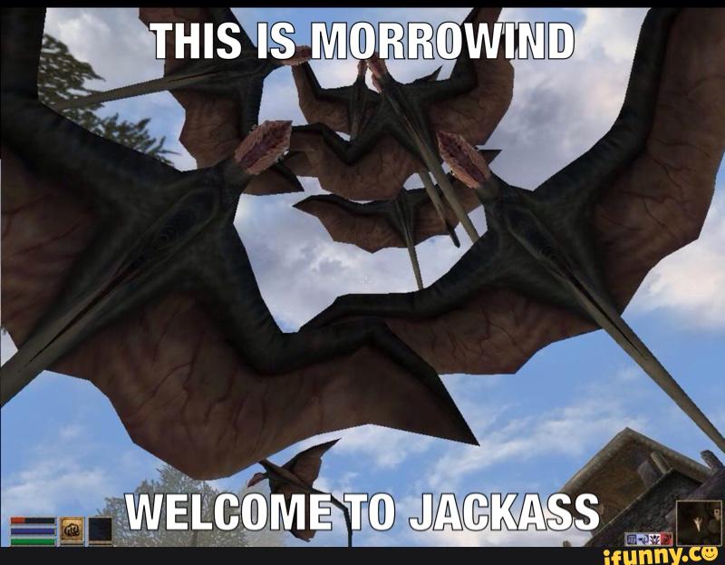Отборные мемы и обзоры для элиты — TES III: Morrowind — фото 14