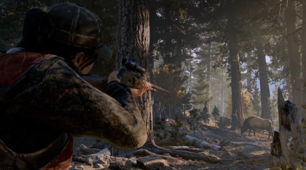 Выглядит круто. Разбираем анонс Far Cry 5 — фото 12