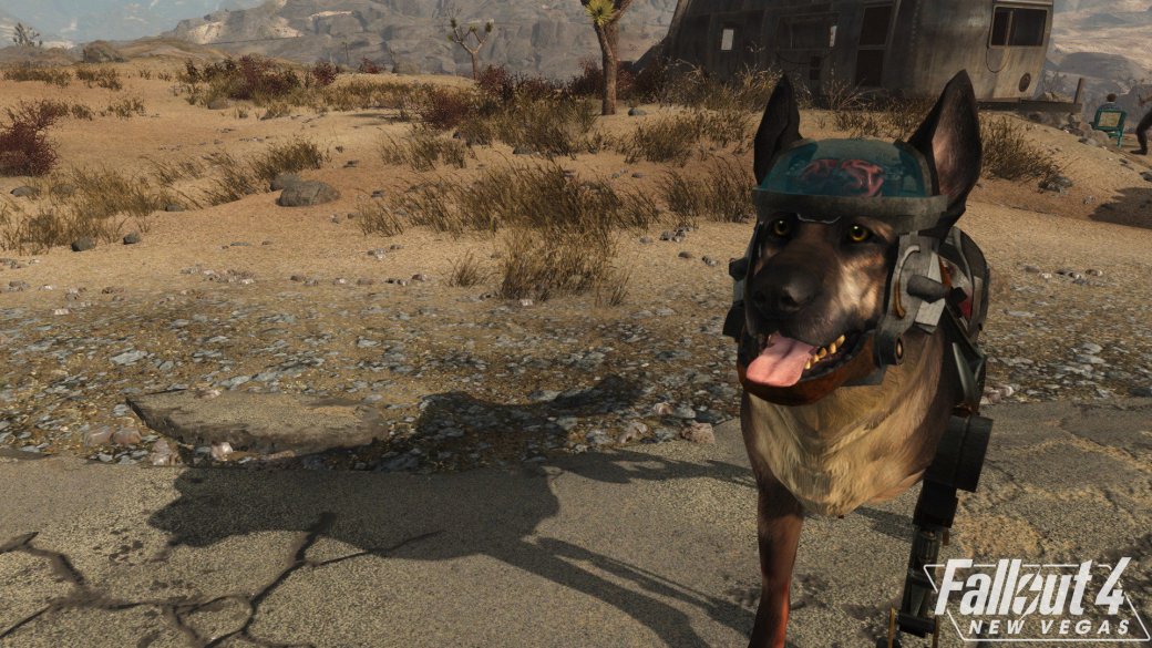 Галерея Огромное количество новых скриншотов из мода Fallout 4: New Vegas. Красота! - 3 фото