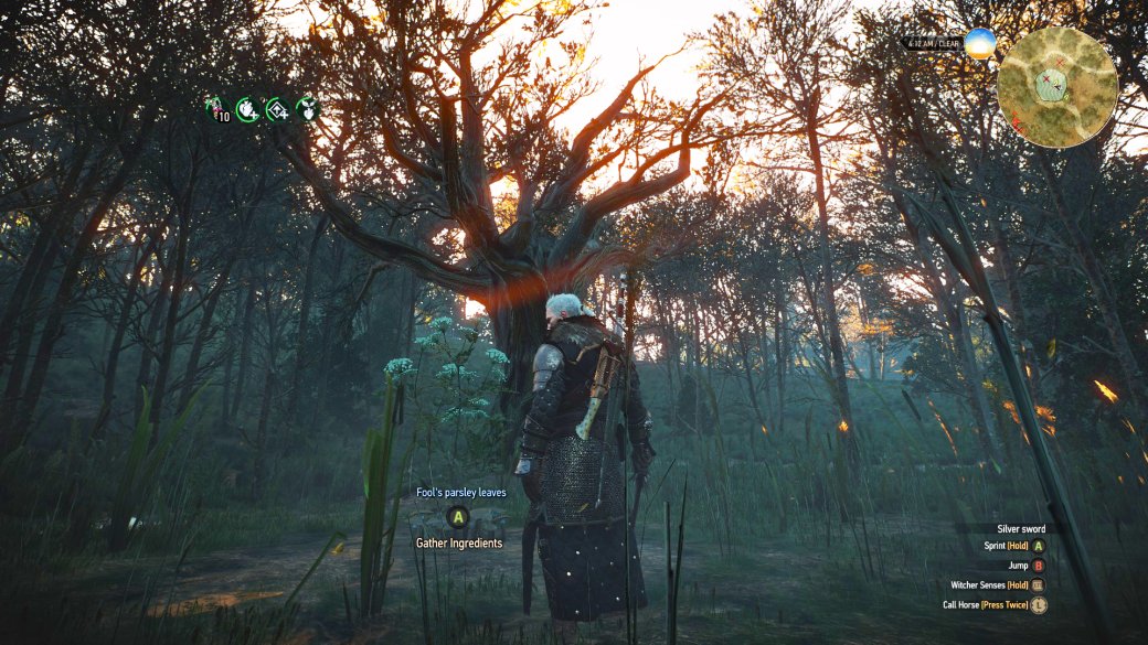 CDPR увековечила в The Witcher 3 баг «мертвой точки» при помощи дерева. И его нашли! — фото 2