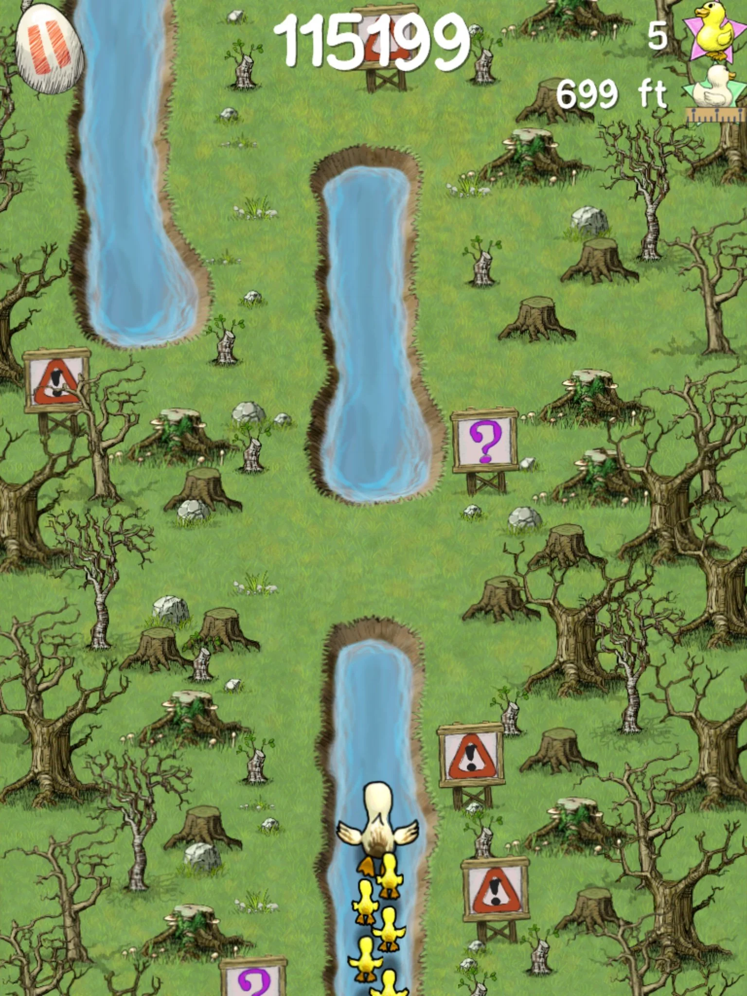 Doodle Ducks - кадр 1