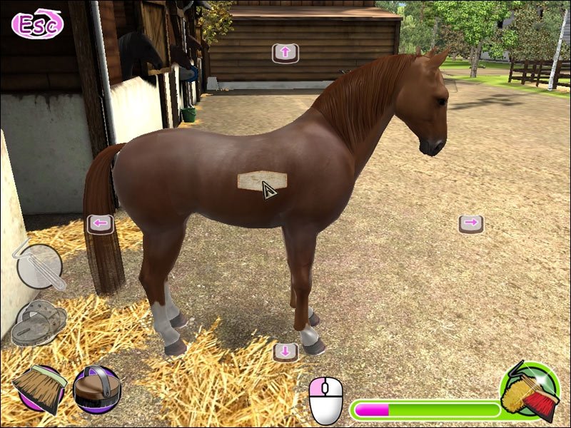 My Gallops 3D — скриншот 1