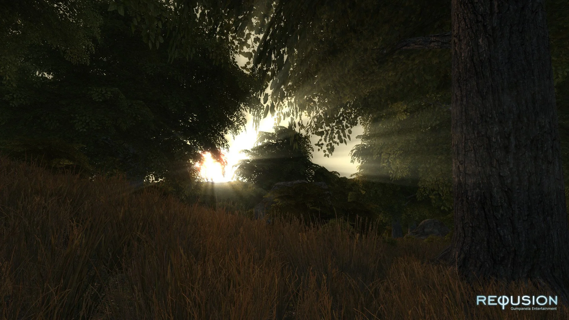 Refusion - кадр 13