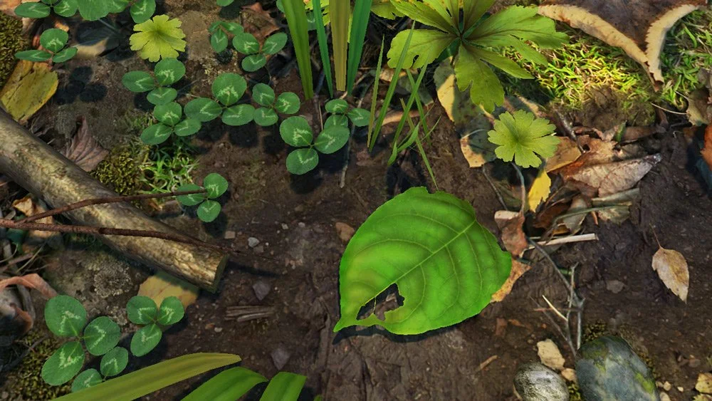 The Burrow - кадр 1