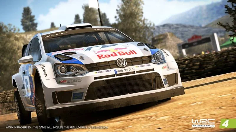 WRC 4 - кадр 16