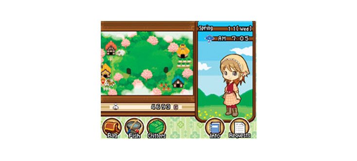 Harvest Moon: The Tale of Two Towns — скриншот 4