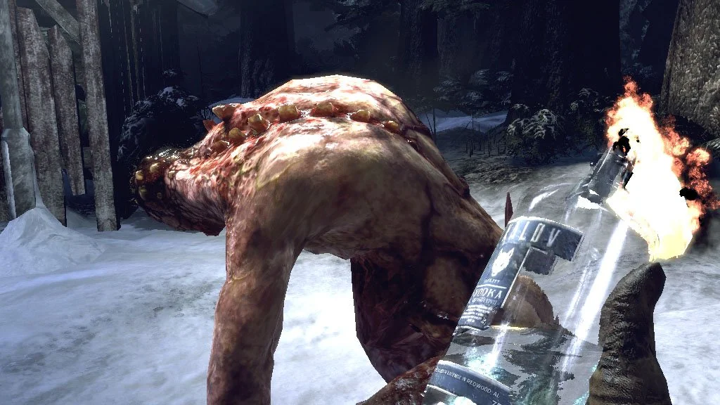 Redwood Falls - кадр 6