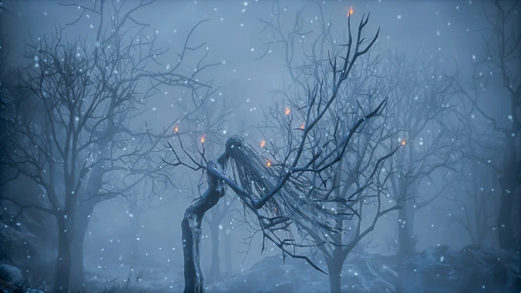 Dark Souls 3: Ashes of Ariandel - кадр 16