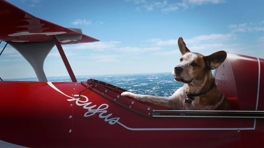 Microsoft Flight Simulator (2020) - кадр 15