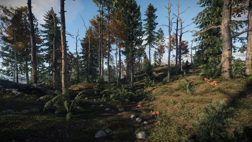 Rust - кадр 6
