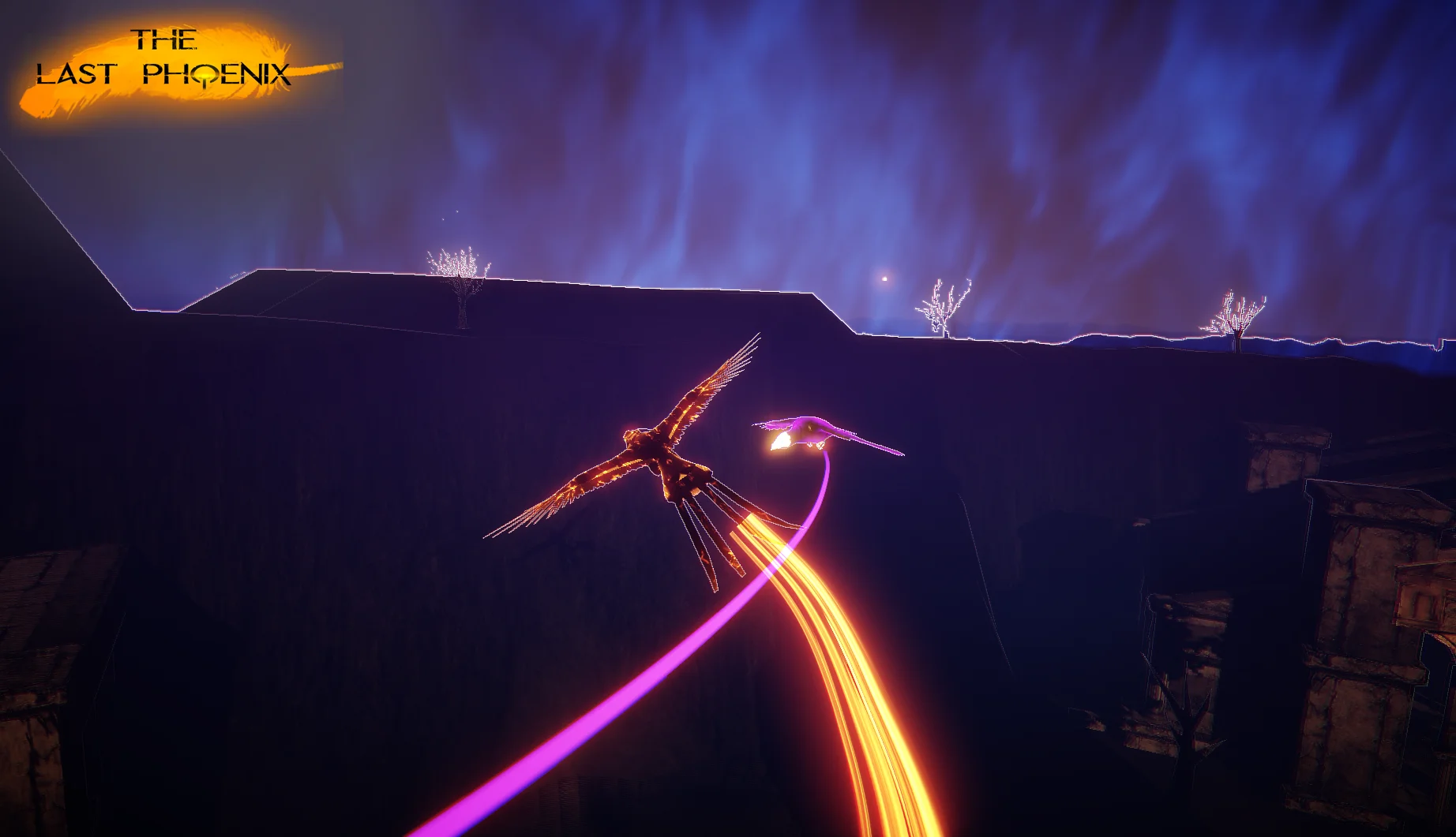 The Last Phoenix - кадр 11